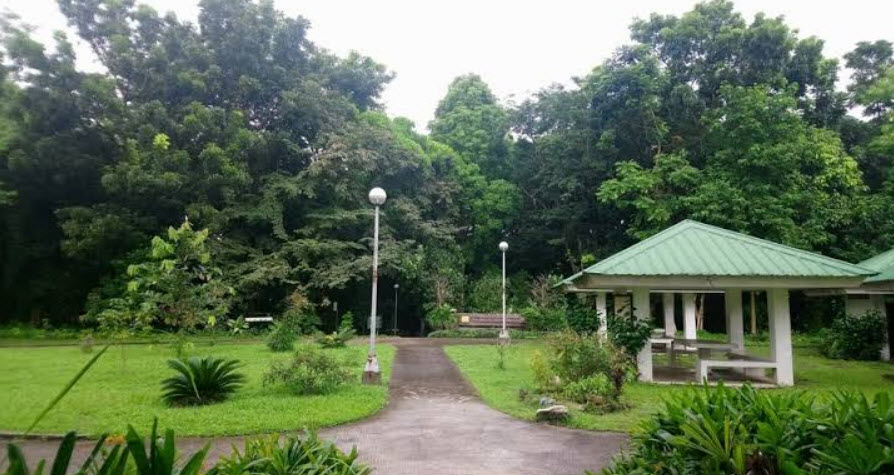UP Diliman Biology - EDC Binhi, Philippines